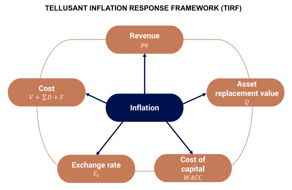 Tellusant - Medidas del Director General contra la inflación
